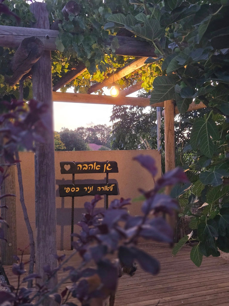 #שפע_איןשנילו >> לציון השנה הראשונה אחרי התאונה