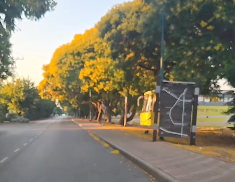 #חמישיחיובי >> אנחנו בשיא הארגונים לאזכרה של אמאבא - 20 שנים. 😞