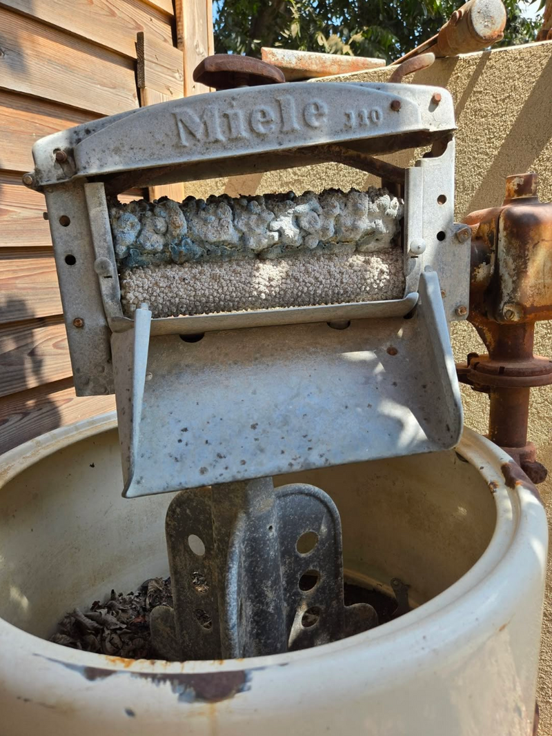 #שלישירגון >> לפעמים כל מה שבא לי זה: ד מ מ ה. 🤫