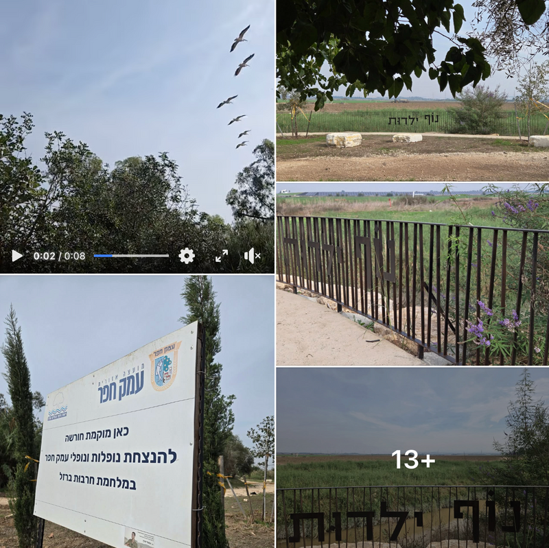 #חמישיחיובי >> יצאנו לטיול RZR ספונטני